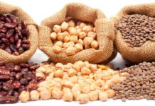 ¿Cómo llevar una vida saludable? Aquí te damos algunos tips