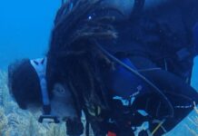 Constatan salud de arrecifes de Mahahual y Xcalak