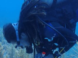 Constatan salud de arrecifes de Mahahual y Xcalak