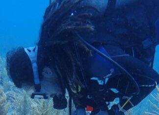 Constatan salud de arrecifes de Mahahual y Xcalak