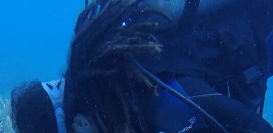 Constatan salud de arrecifes de Mahahual y Xcalak