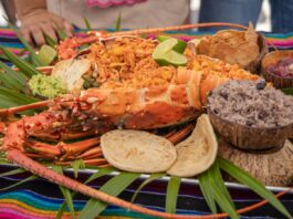 Exitoso Festival de la Langosta en Punta Allen