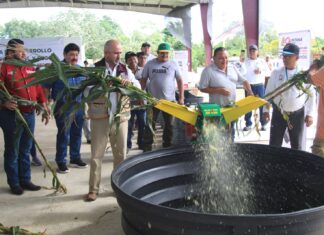 Entregan insumos y equipamiento a productoras y productores de José María Morelos