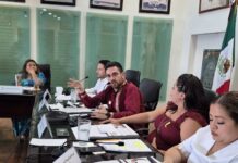 En Quintana Roo se impulsa una política ambiental más fuerte, resiliente y cercana a la gente: SEMA