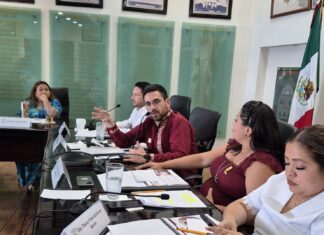 En Quintana Roo se impulsa una política ambiental más fuerte, resiliente y cercana a la gente: SEMA