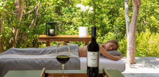 Caribe Mexicano, referente del turismo wellness en México y Latinoamérica